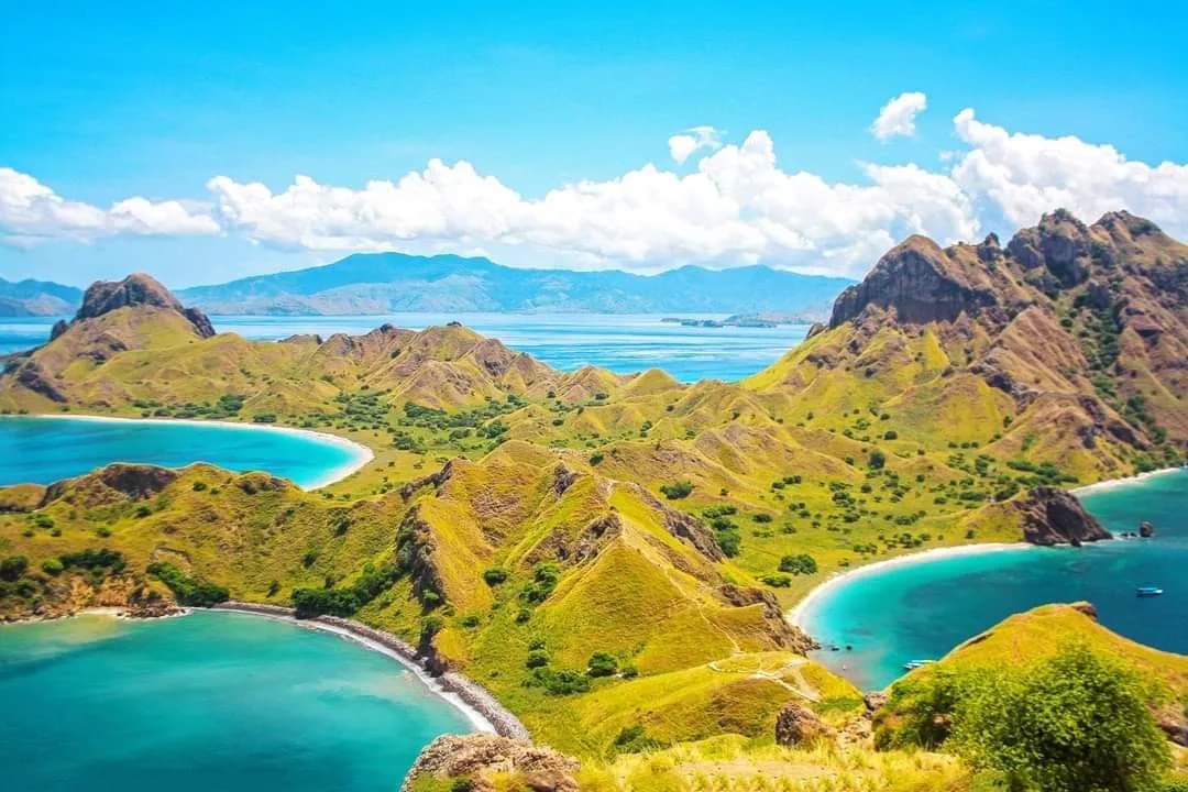 komodo tour